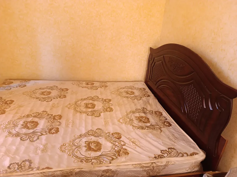 диван (спальный) использовался 1 год, всё в порядке 1