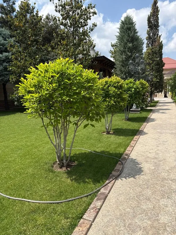 Bog‘bon Xizmat – Hovlingiz va bog‘ingiz uchun professional parvarish — фото 3