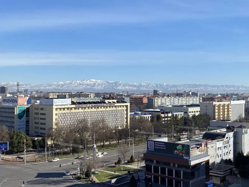 Сдается квартира (ориентир — метро Ойбек) — фото 8