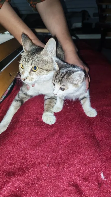 Xadyaga beriladi boqaman deganlar aloqaga chiqdim 2 Xadyaga beriladi boqaman deganlar aloqaga chiqdim 2