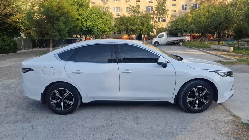 BYD chazor gibrid 1 BYD chazor gibrid 1
