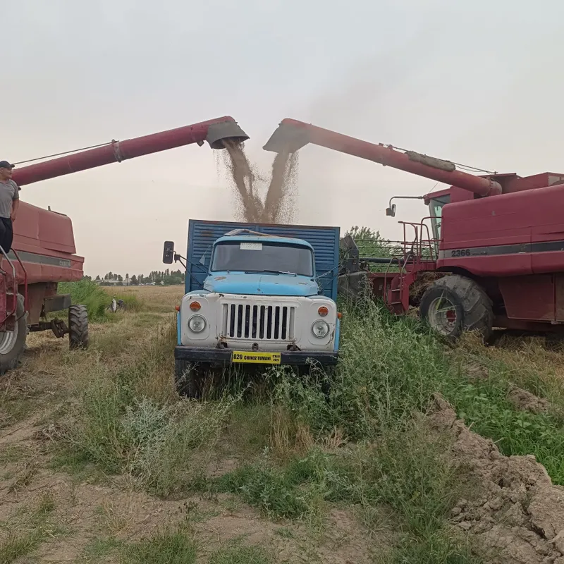 Gaz 53 samasval xujjatlari joyida xolati yaxshi — фото 3
