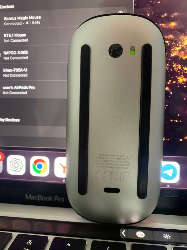 magic mouse type-c 2