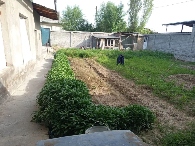 Uyimiz sotiladii 7 Uyimiz sotiladii 7