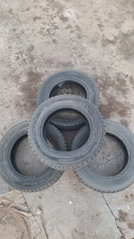 Dunlop zimniy baloni GENTRA uchun