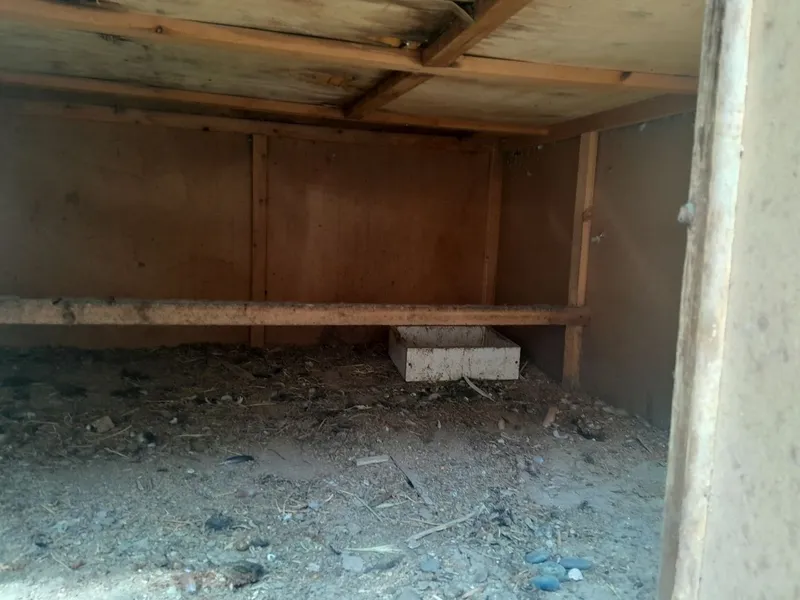 Kaptar tovuqlat uchun katak sotiladi 4 Kaptar tovuqlat uchun katak sotiladi 4