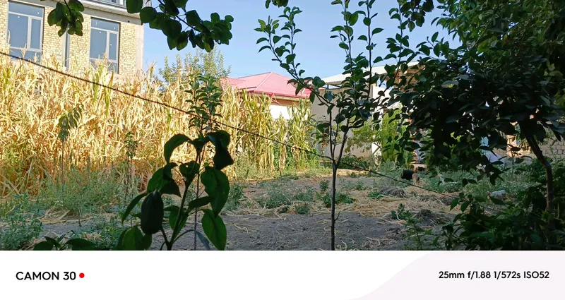 Продаётся дом в Самарканде за чайником, за пиалой (с обратной стороны) 2