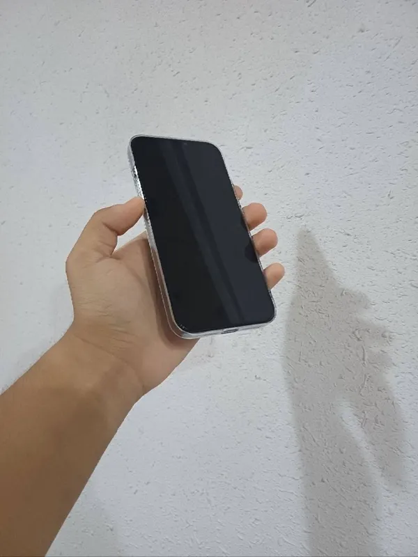 IPHONE 12 PRO MAX 1