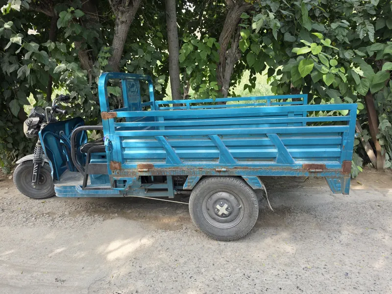 Muravey yurib turgan