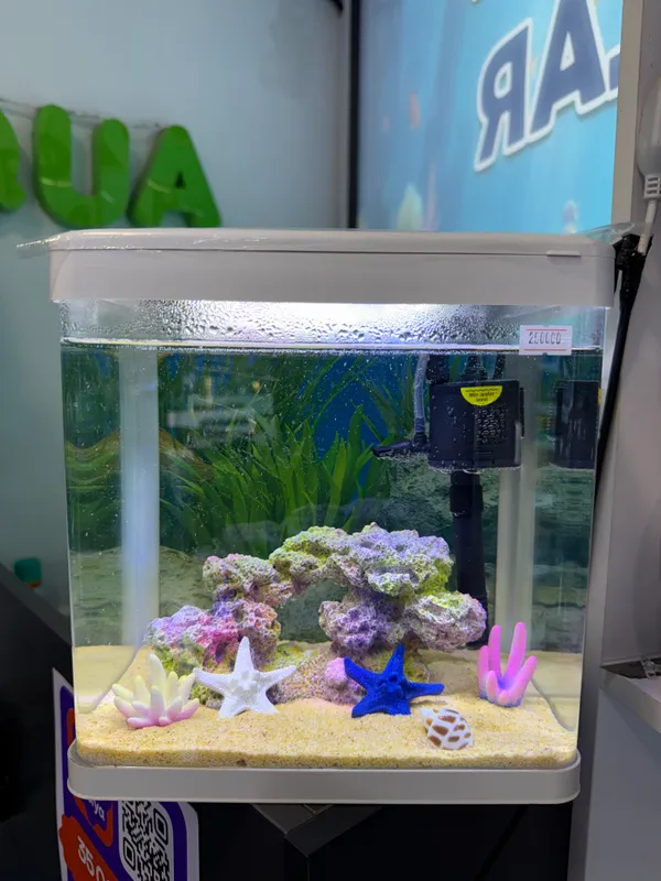 akvarium mini 1 akvarium mini 1