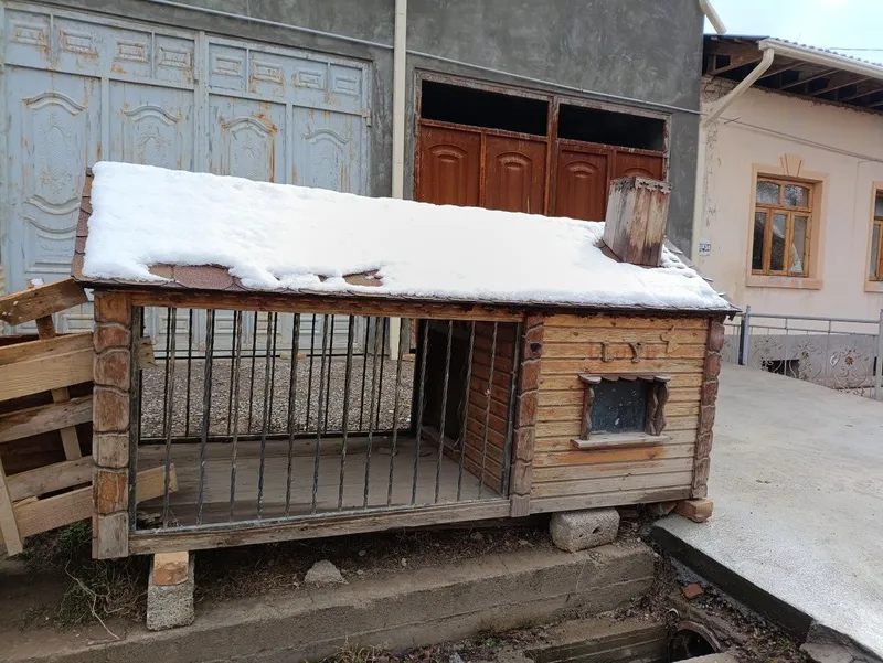 Валер для собаки. Размер 300х120 высота 170 сена 700$ — фото 2