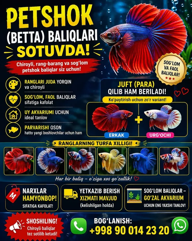 petushok baliqlar