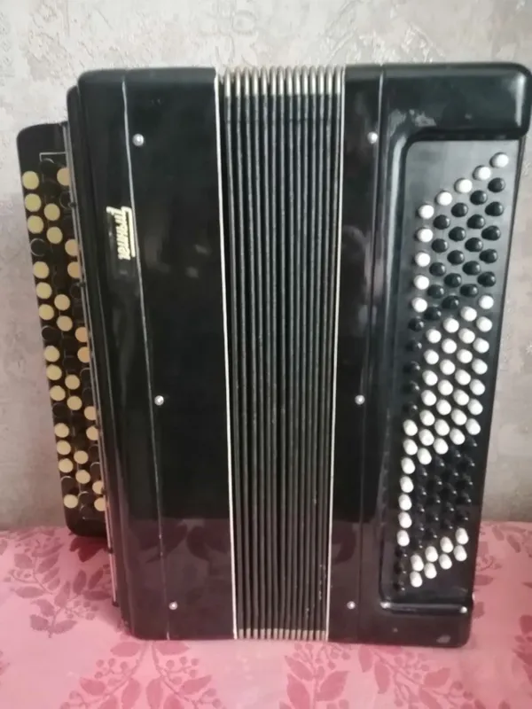 Баян ученический. Баян ученический.