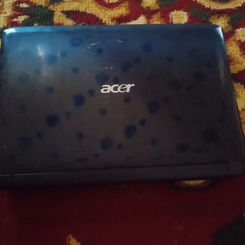 acer