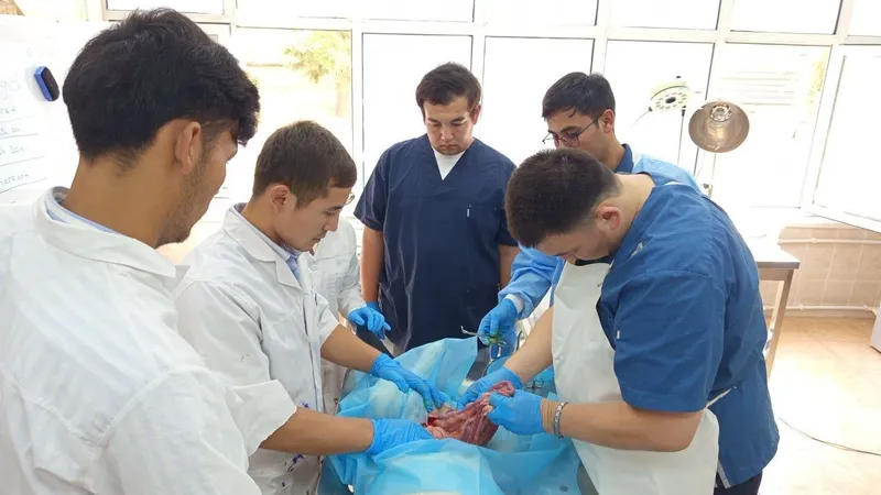 Veterinar xizmati 4 Veterinar xizmati 4