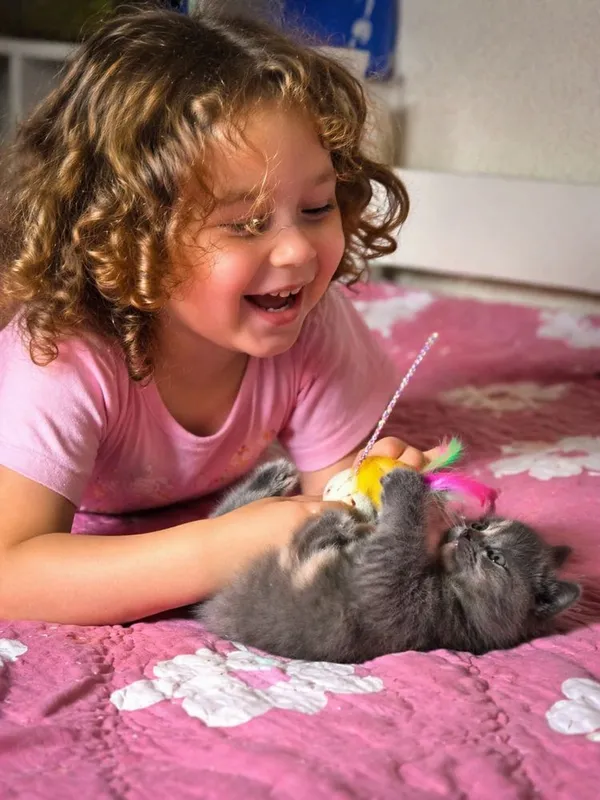 Котёнок Mushukcha