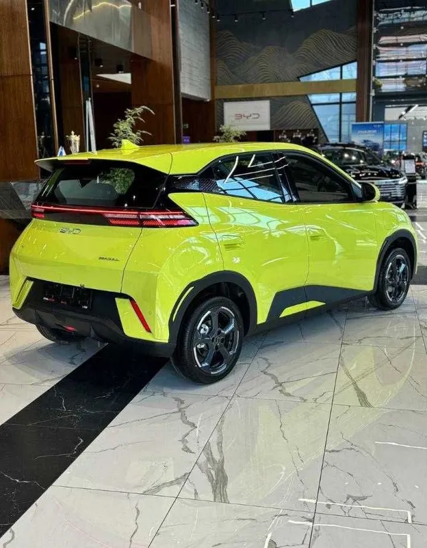 Byd Seagull naxt va halol nasyaga 3
