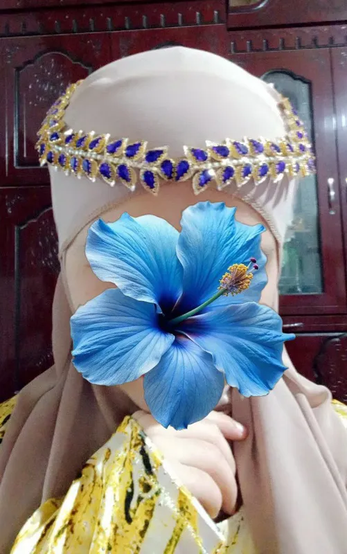 Diadema 2