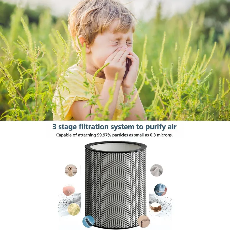 Dyson BP04 Filter komplekt , Дайсон бп04 фылтр 6