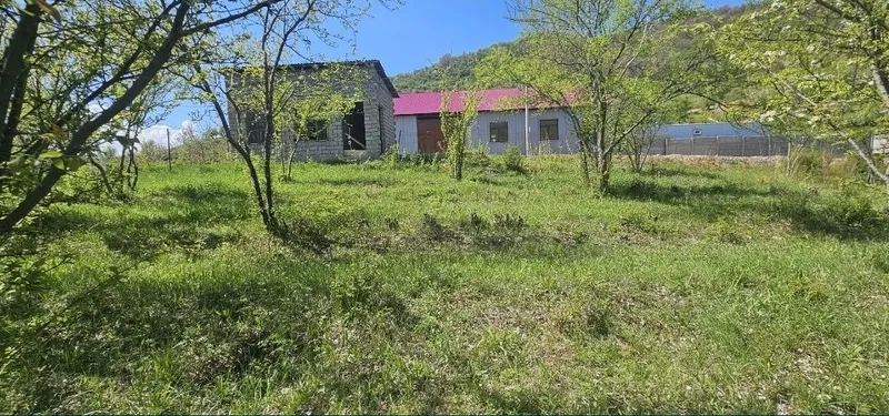 Dala hovli uchun yer uchastkasi 5
