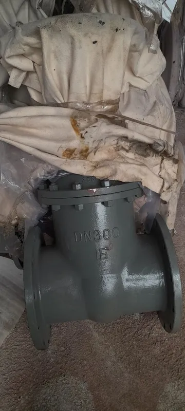 Zadvishka zadvishka 1 Zadvishka zadvishka 1