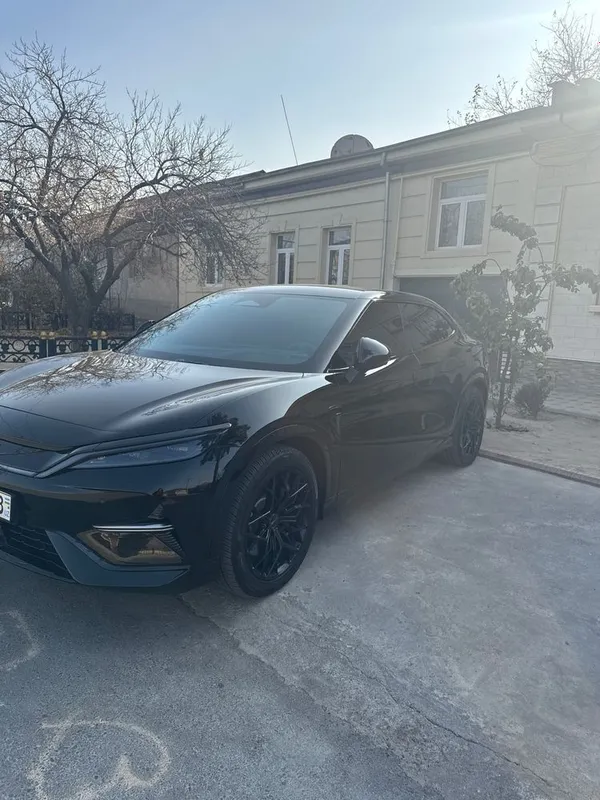 Byd song l 5 позитция 2024