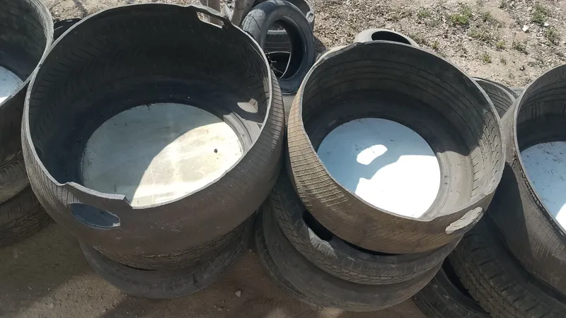 Mol va qoy,qochqorlar uchun yem idish — фото 2