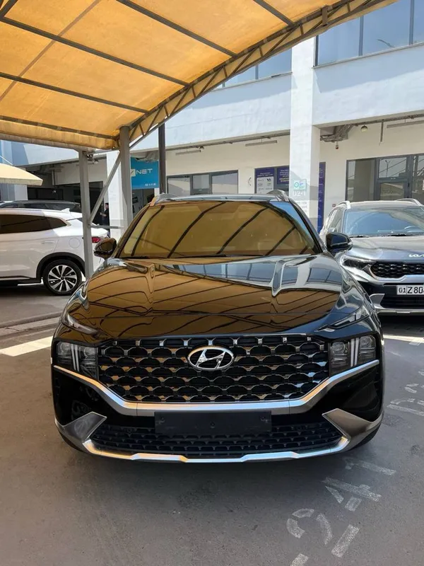 Hyundai santa fe full Hyundai santa fe full