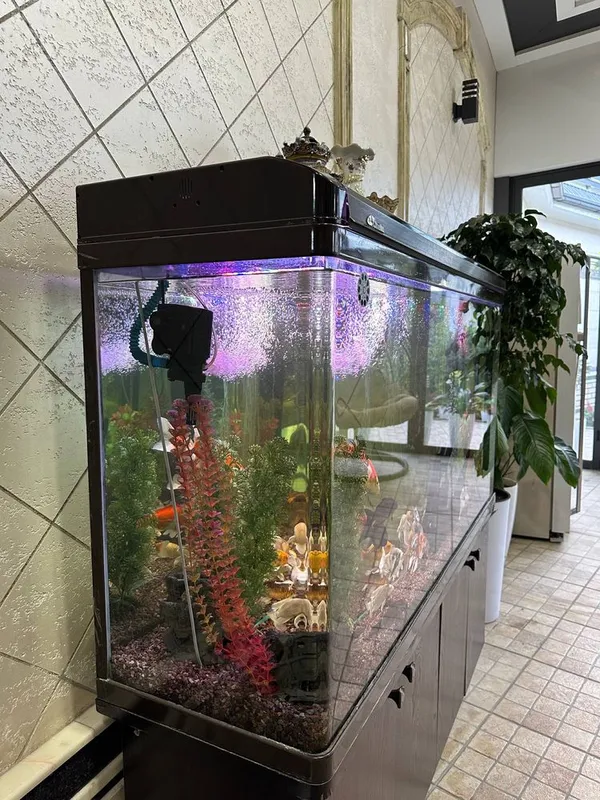 Akvarium sotiladi 3
