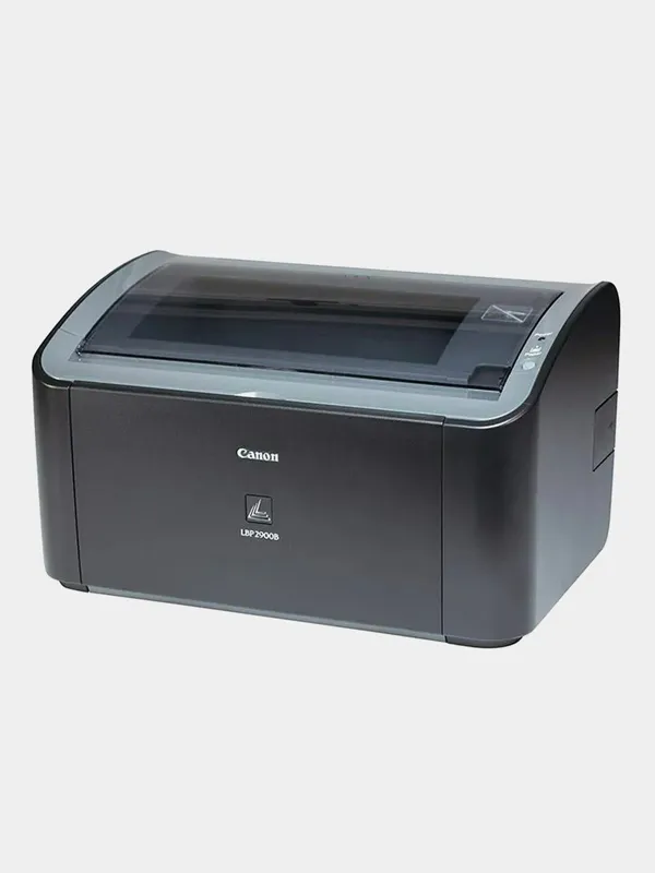 Canon 2900 1