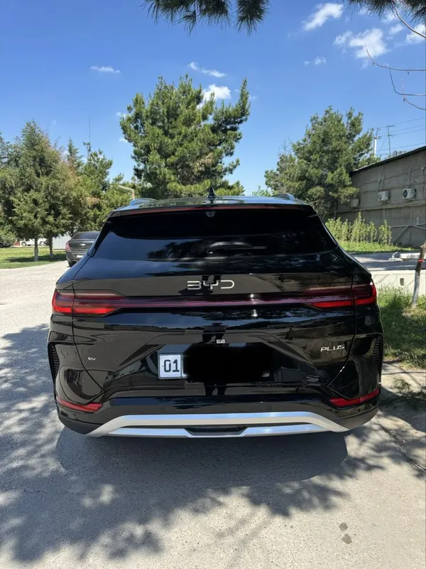 Byd chempion smart — фото 2