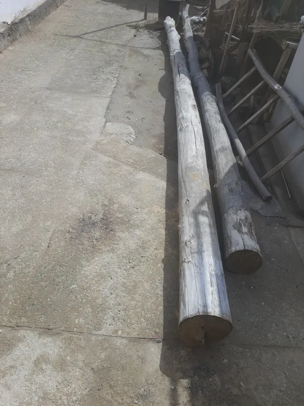 Aq terek satiladi