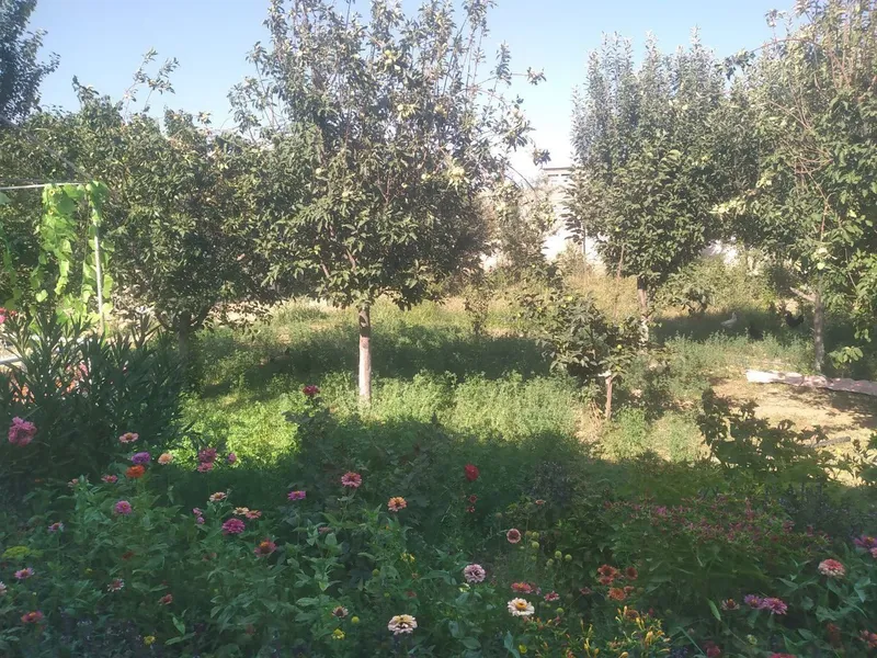 Hamma sharoitlari mavjud yer maydoni 6 sotix — фото 1
