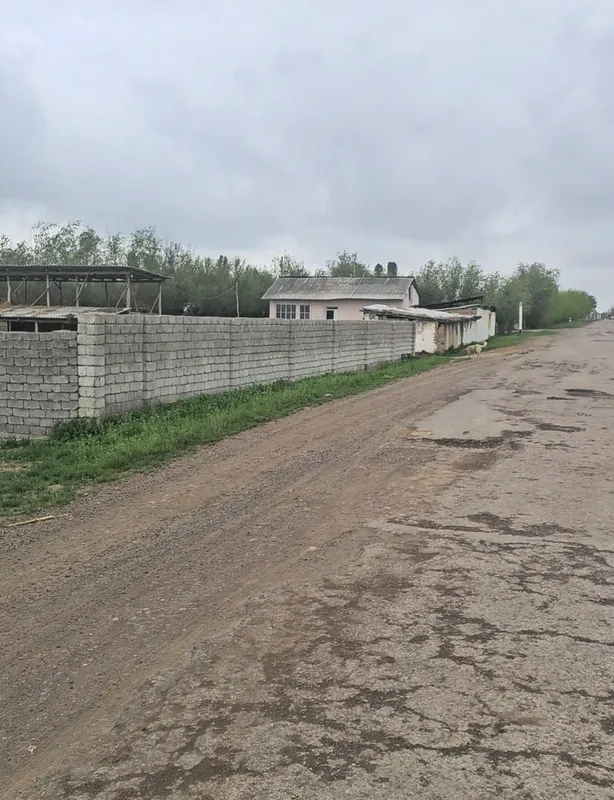 Продаётся двор в Ташкентской области, Букинском районе 1 Продаётся двор в Ташкентской области, Букинском районе 1