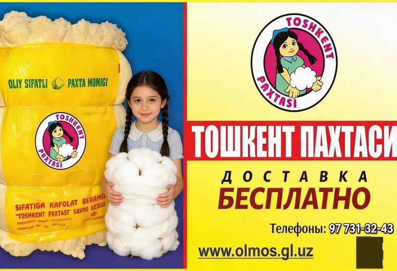 Diqqat! TOY PAXTA olishda adashmang! — фото 1