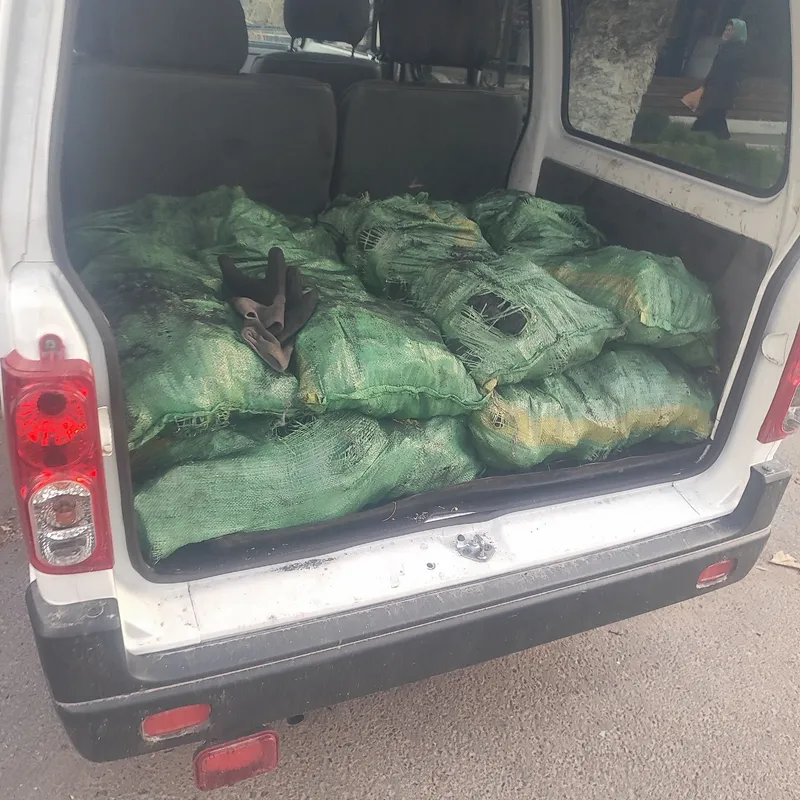 Qirgiziston suluxta komiri 3000 somdan tugatishga 5 tonna bor
