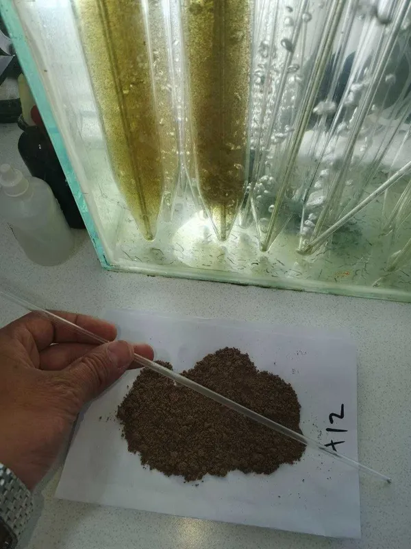 Artemiya cistasın saqlaw hám laboratoriya sınaw xızmetleri (hatching. 7 Artemiya cistasın saqlaw hám laboratoriya sınaw xızmetleri (hatching. 7