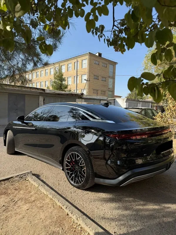 Byd han L awd 2.7 сек — фото 4
