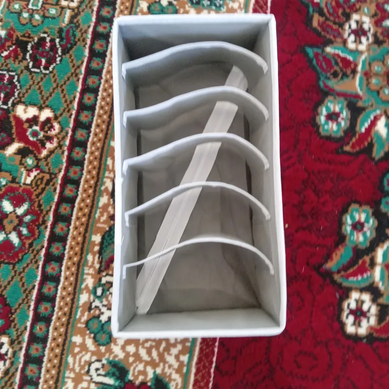 mini arganayzerlar 1