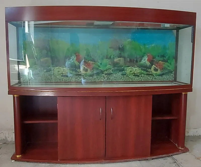 Срочно продаётся аквариум на 300л. 2 Срочно продаётся аквариум на 300л. 2