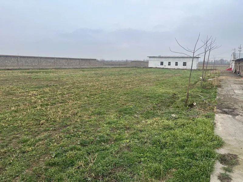 Продаётся откормочная база-ферма — фото 3 Продаётся откормочная база-ферма — фото 3