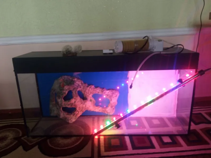 Xajmi:Akvarium 80 litr 1 Xajmi:Akvarium 80 litr 1