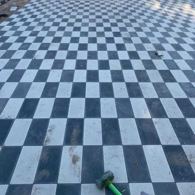 Tez va Sifatli Bruschatka terish va yetkazib berish O'zbekiston Bo'yi 7 Tez va Sifatli Bruschatka terish va yetkazib berish O'zbekiston Bo'yi 7