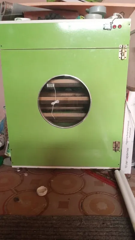 Inkubator sotiladi 1000 ta tuxumli Xorazm
