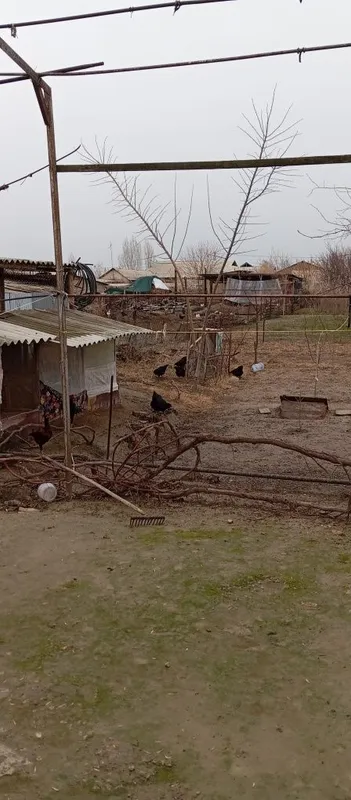 Ховли Уй сотилади — фото 1