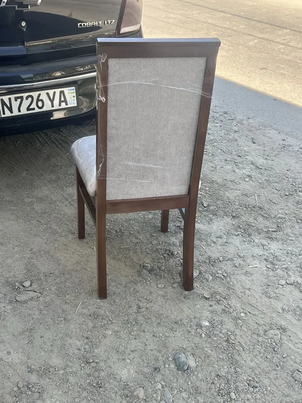 Senator diplomat stul 2