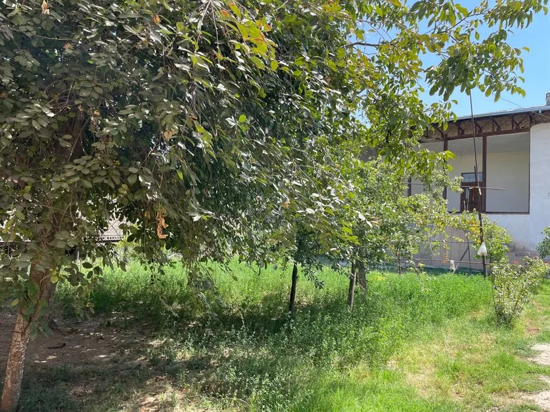Nazarbek Xarakatda 5.7 sotix uchastka sotiladi — фото 1