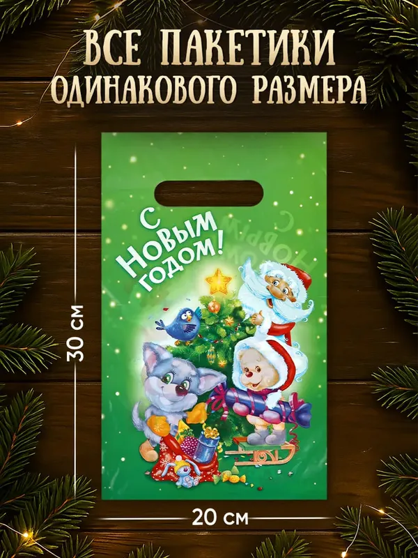Sovg‘a paketlari, 10 dona to‘plam, 20 x 30 sm 3