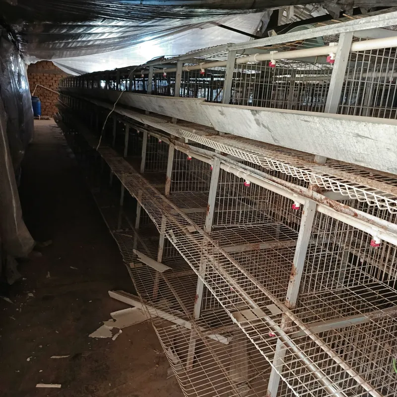 Продаются клетки, рассчитанные на 5000 кур 4 Продаются клетки, рассчитанные на 5000 кур 4
