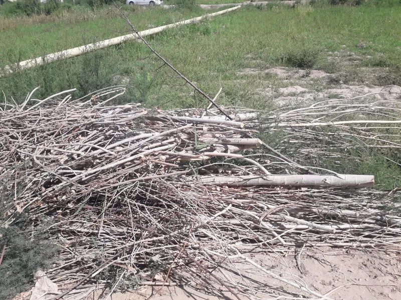 Тандир отын бар бесплатный вода канал 2 Тандир отын бар бесплатный вода канал 2